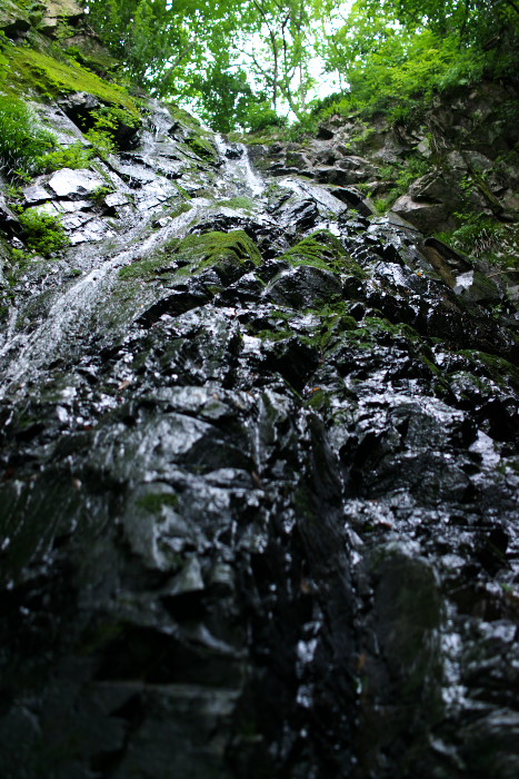 c0189533_22494831.jpg