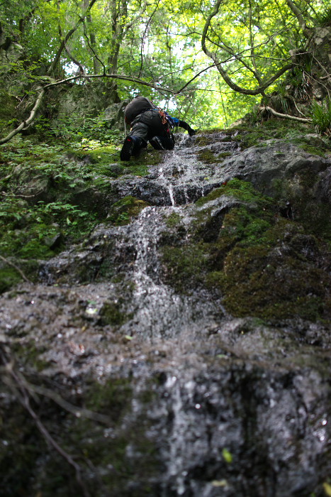 c0189533_22531745.jpg