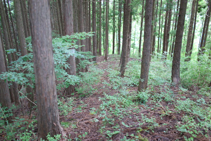 c0189533_22542246.jpg