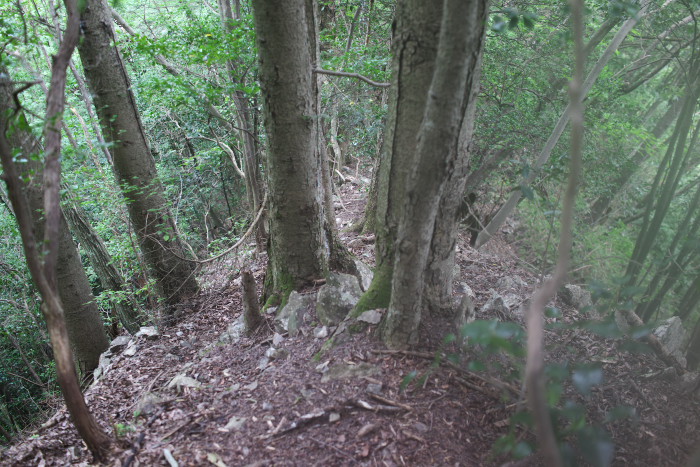 c0189533_22582615.jpg