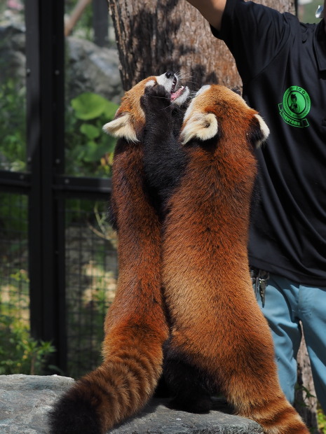 a0149740_1741916.jpg