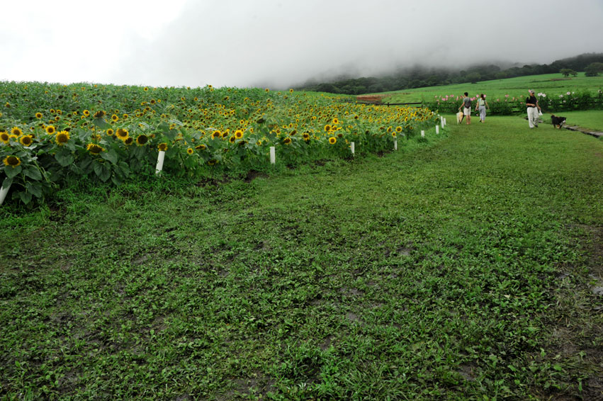 b0075541_14451881.jpg