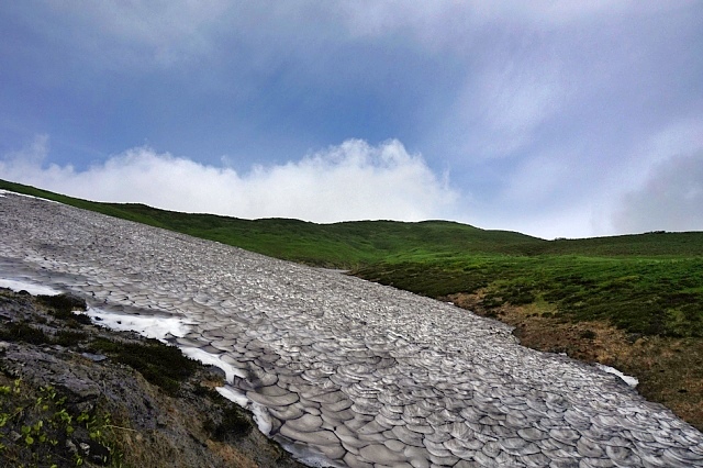 b0122448_20203959.jpg