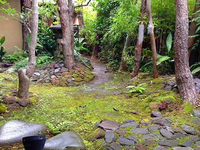 e0001860_9264524.jpg