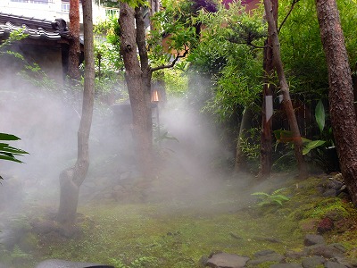 e0001860_9265625.jpg