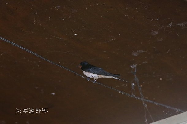 f0113163_20523630.jpg