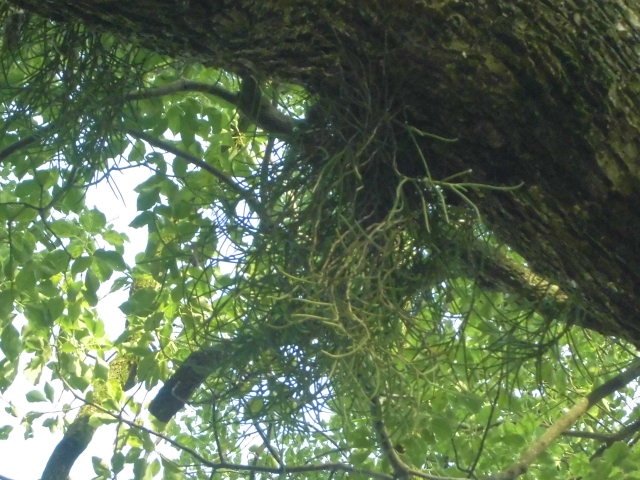 f0318967_18554725.jpg