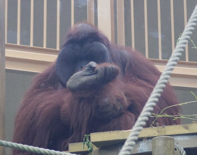 b0014576_20183786.jpg