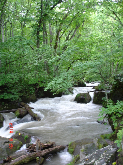 d0165378_9341459.jpg