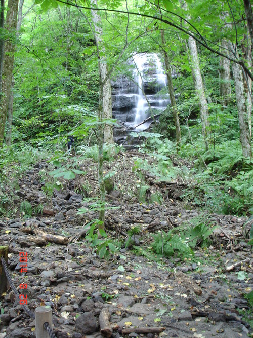 d0165378_9362594.jpg