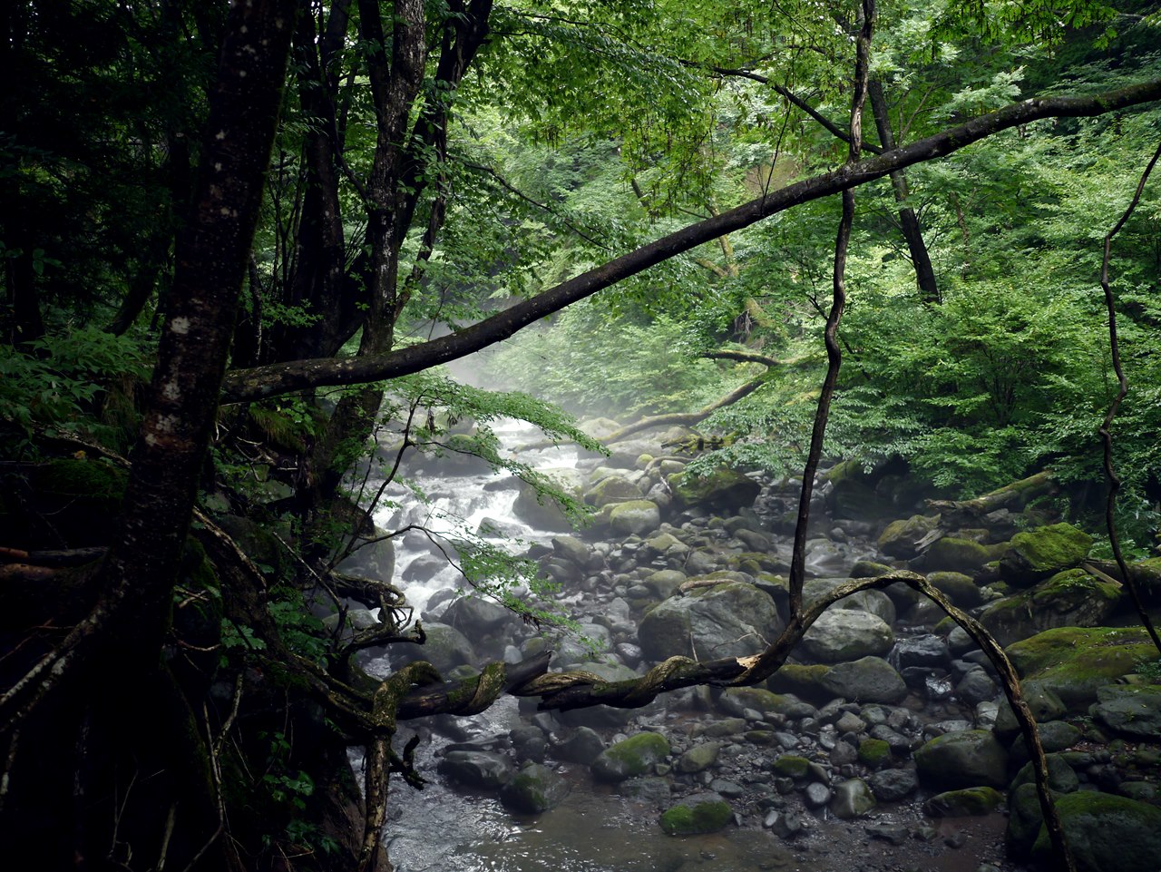 e0167780_21592142.jpg