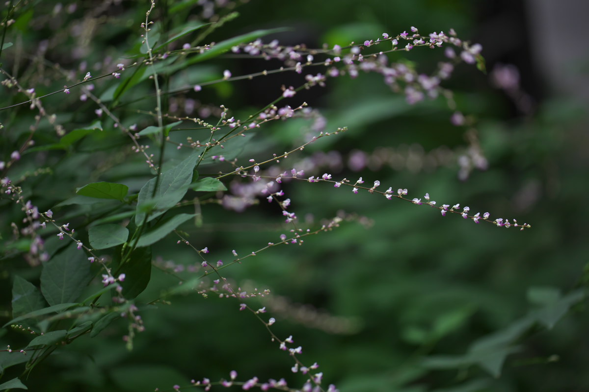 a0083081_1092776.jpg