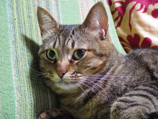a0159490_15545450.jpg