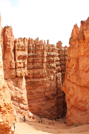 c0033994_19592.jpg