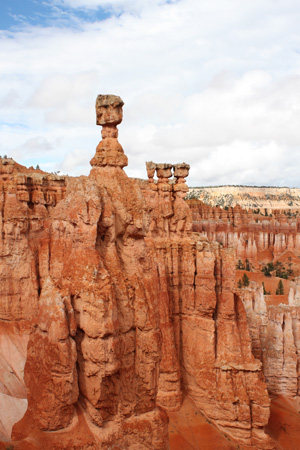 c0033994_2483420.jpg