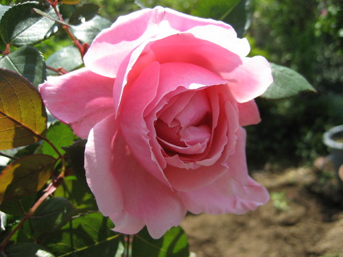 f0201297_7492027.jpg