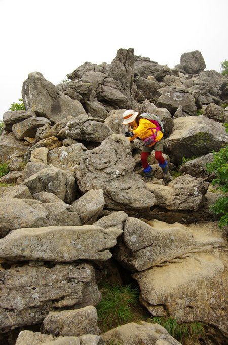 a0158802_230339.jpg