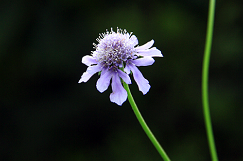 b0014607_21104381.jpg