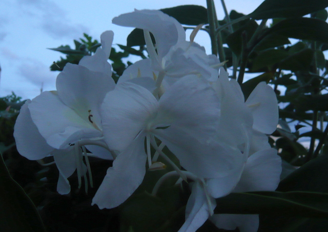 c0076218_0315974.jpg