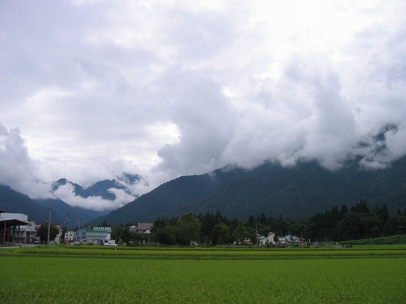 d0015124_1931076.jpg