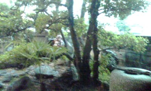 f0158625_11190447.jpg