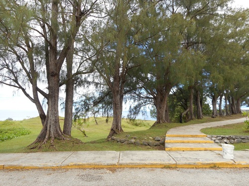 c0142326_10133389.jpg