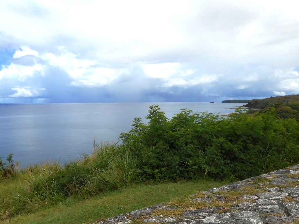 c0142326_1062152.jpg