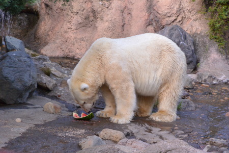 f0344626_22425214.jpg