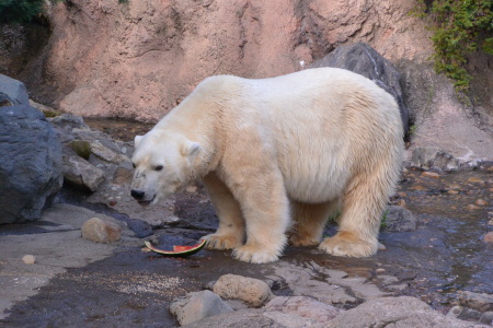 f0344626_22430554.jpg
