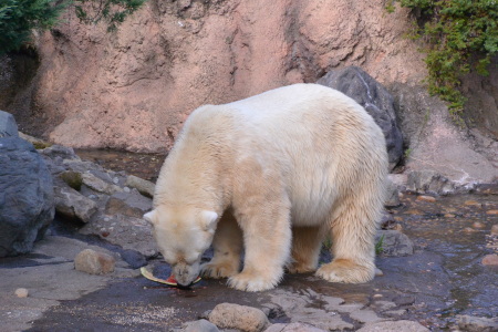 f0344626_22435676.jpg