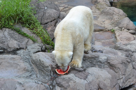 f0344626_22441574.jpg