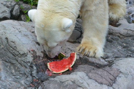 f0344626_22442520.jpg