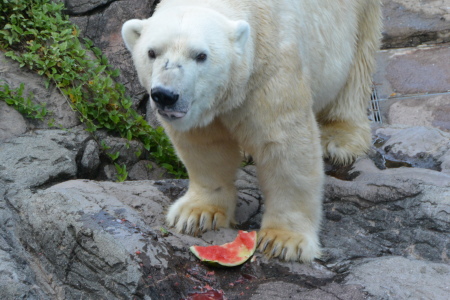 f0344626_22450013.jpg