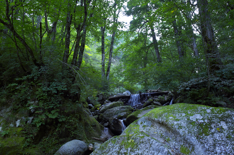 b0237035_14241544.jpg