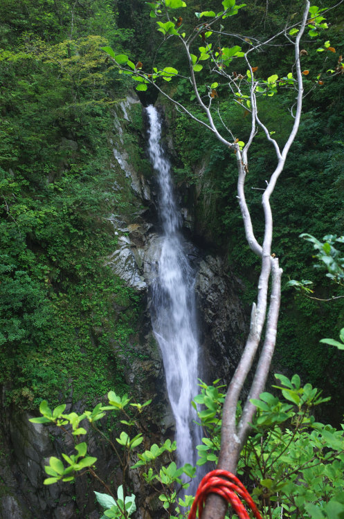 b0237035_14363715.jpg