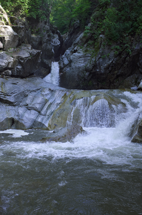b0237035_14423710.jpg