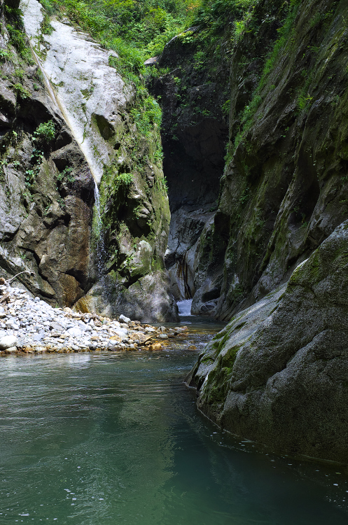 b0237035_1446467.jpg