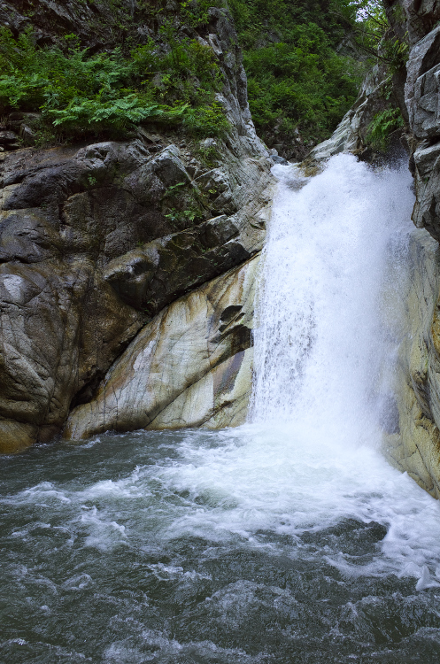 b0237035_145650100.jpg