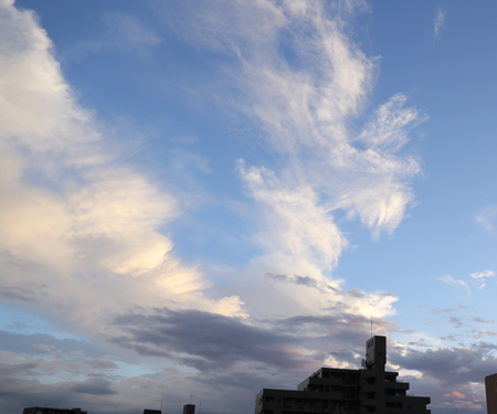 a0245136_21232433.jpg