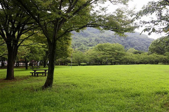 a0242438_18435218.jpg