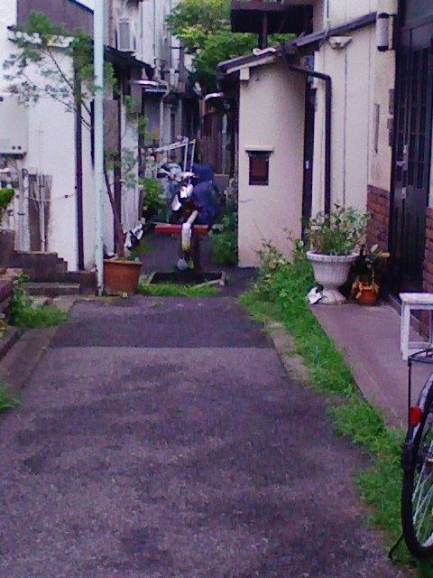 b0031140_2134945.jpg