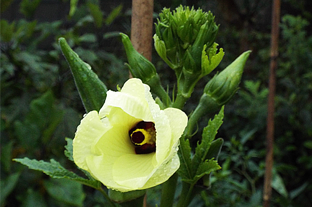 f0214649_2010297.jpg