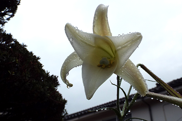 f0214649_2011595.jpg