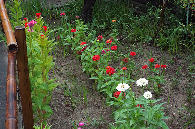 f0214649_20124063.jpg