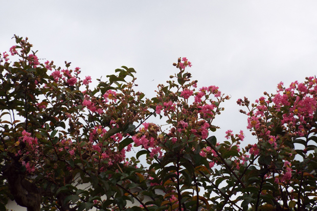 f0214649_20152518.jpg