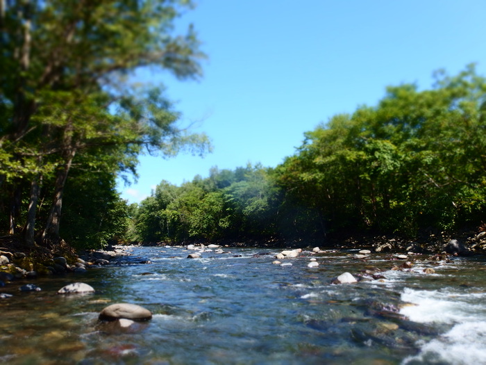 e0212759_20145437.jpg