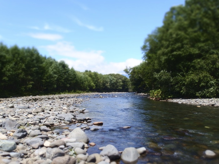 e0212759_2017320.jpg