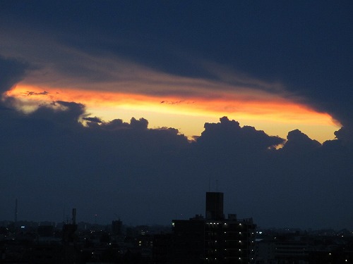 b0145863_0185665.jpg