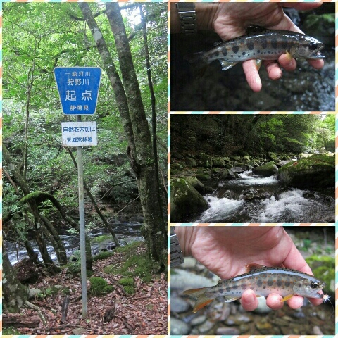f0224363_2073618.jpg