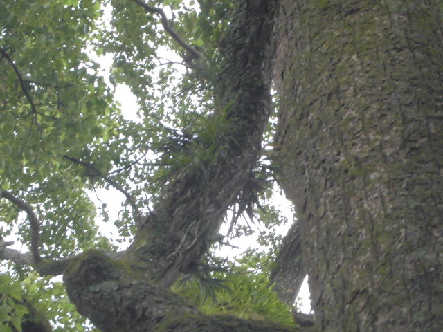 f0318967_19193998.jpg